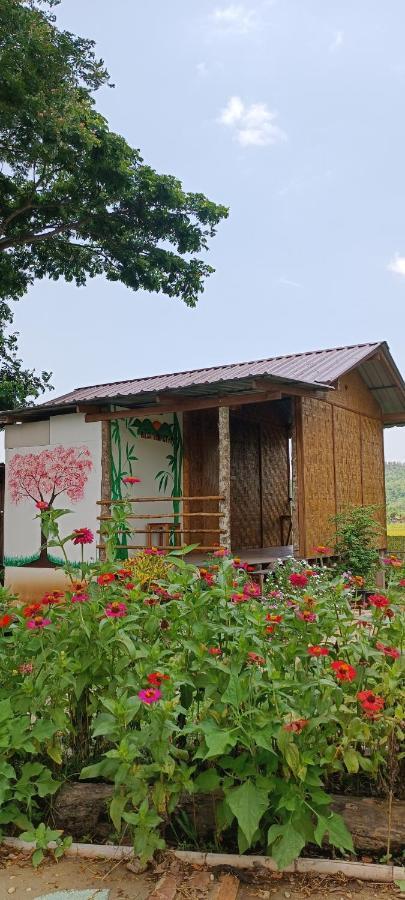 Kaewma Farmstay Khuang Kom Luaran gambar